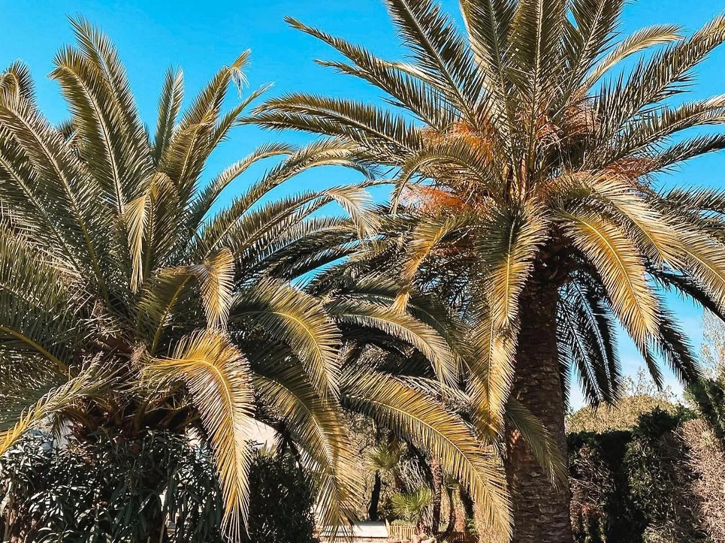 Villa Siena Roquebrune-sur-Argens
