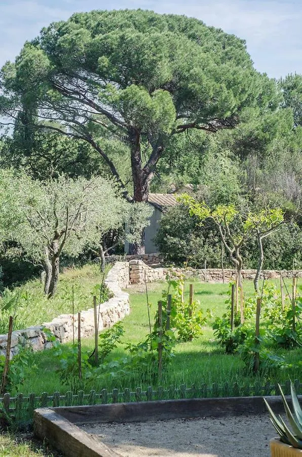 Villa Siena Roquebrune-sur-Argens